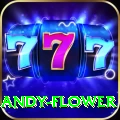 andy flower Bonus Legend v2.3.9