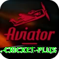 bbl cricket Game Supreme v1.0.1