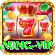 Betrupees - Gaming VIP