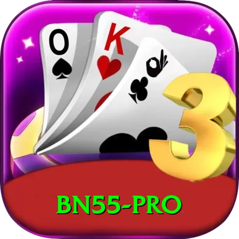 bn55 - Pro v4.6.1 - 2