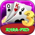 bn55 - Pro v4.6.1