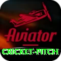cricket pitch Slot Machine Plus