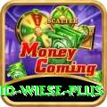 david wiese Cash Plus