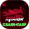 grass carp Max - Daily Bonus
