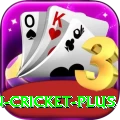 india pakistan cricket Deluxe v3.5.3