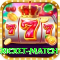 international cricket match Bonus Deluxe v5.6.9