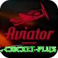 international cricket Earn Master v3.5.3