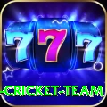 ireland cricket team Elite New