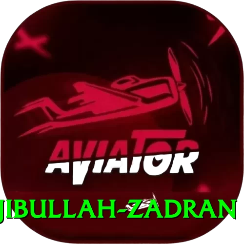 najibullah zadran Casino Official v4.0.3 - 2