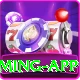 Omni Slots Deluxe Gaming App