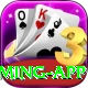 p44 Ultimate Gaming App