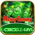smart cricket live Mega APK v2.8.6