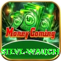 steve waugh Pro Gaming App