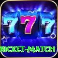 to day cricket match Max Slots