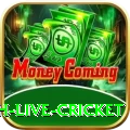 watch live cricket Game Champion v5.2.8