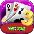 wc t20 Casino Official v4.5.5